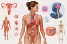 Anatomia i fizjologia