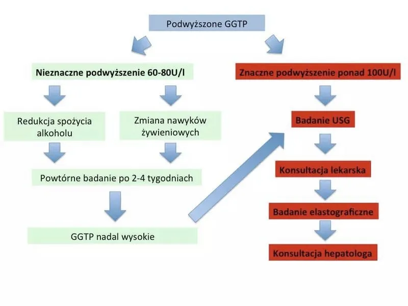 Badanie GGTP: co oznacza wynik i co mówi o wątrobie