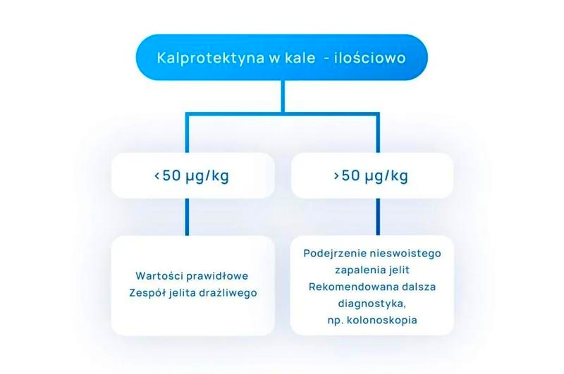 Badanie kalprotektyny: jak czytać wynik i odróżnić IBS od IBD?