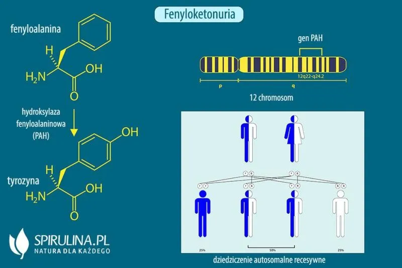 Fenyloketonuria: objawy, dieta i leczenie dla zdrowia dziecka