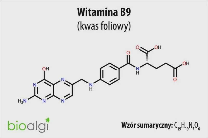 Foliany i witamina B9: właściwa dawka bez typowych błędów