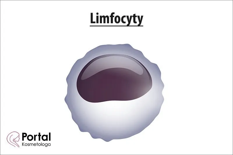 Podwyższone limfocyty – infekcja czy powód do konsultacji?