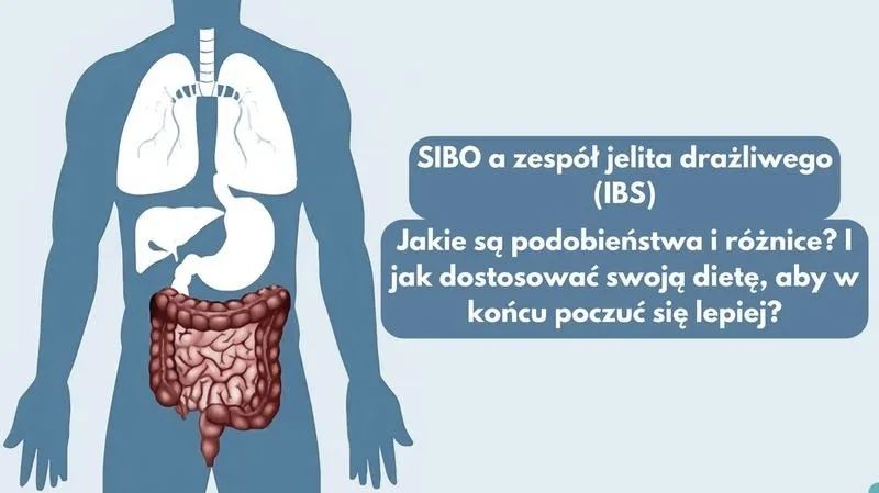 SIBO: skąd się bierze, jakie daje objawy i jak je leczyć?