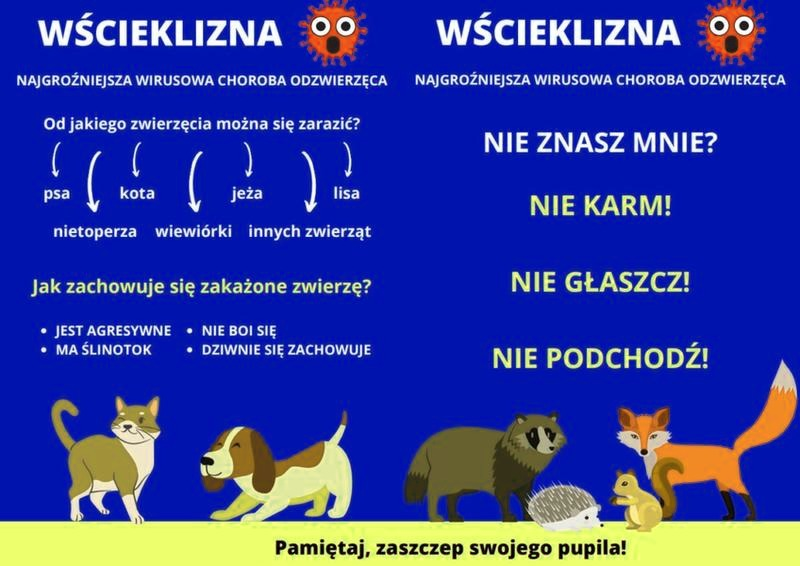 Wścieklizna: pierwsze objawy i co zrobić po ugryzieniu?