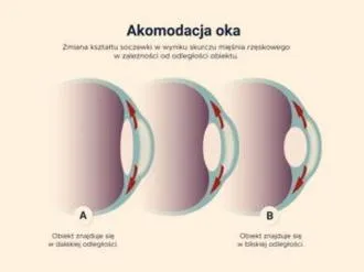 Akomodacja oka