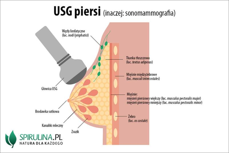 Diagnostyka piersi