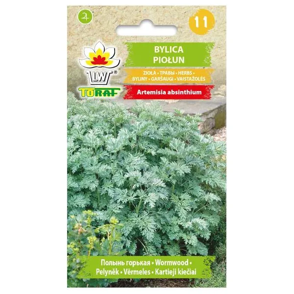 Medycyna naturalna piołun