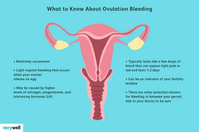 Monitorowanie cyklu menstruacyjnego