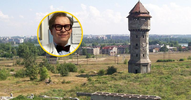 Ołowica u dzieci
