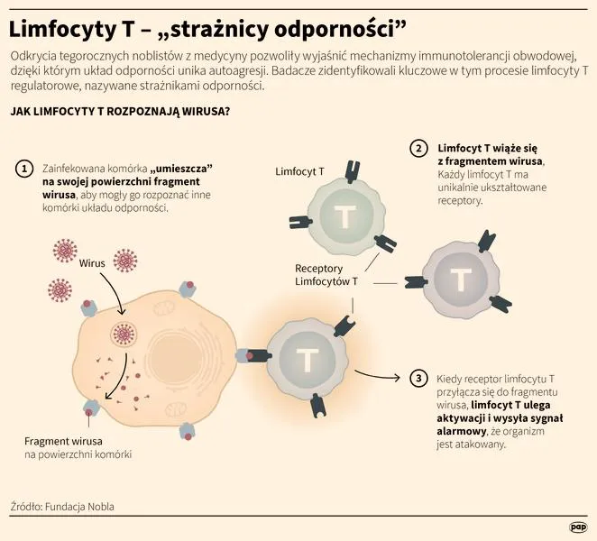 Podwyższone limfocyty