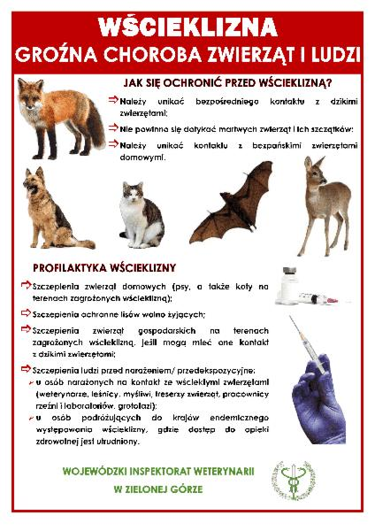 Wścieklizna u człowieka